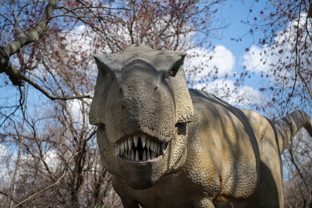 Ancient History Meets Present Day: Dinosaur Safari NOW OPEN at